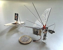 Mikroflieger DelFly Micro
