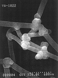 Kohlenstoff Nanofasern 