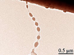 Nano-Siliziumperlen