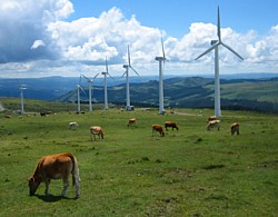 Windpark in Galicien 