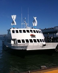 Helix-Savonius Rotoren auf der Hornblower Hybrid