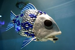 Roboterfisch der Universität Essex