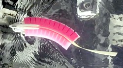 Sensorischer Roboterfisch