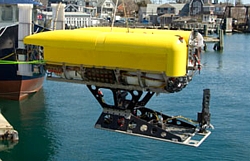 Nereus