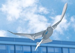 SmartBird Von FESTO