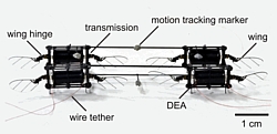 Soft-Actuated Aerial Robot