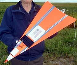 Papierflugzeug des Fox Valley Geschwaders