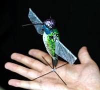 Hummingbird Robot