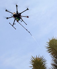 Einöl-Drohne