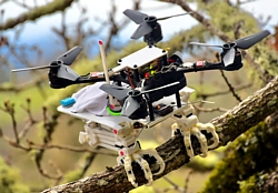 SNAG-Drohne