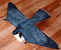 RobotFalcon