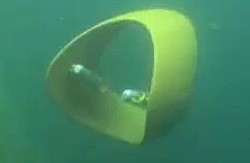 Ringflügler-Test