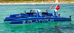 Prototyp des Platypus