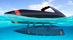 Platypus Swordfish Grafik