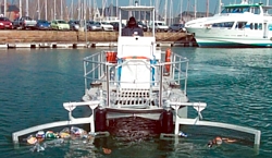 Waste Cleaner 66