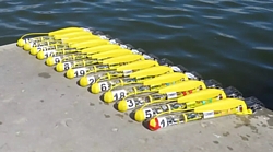 Gruppe von SwarmDivers