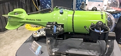 Endura 100
