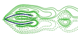 Numerische Simulation Grafik