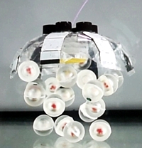 JellyfishBot