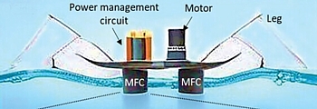 MFC-Wasserläufer Grafik