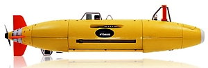 REMUS 6000