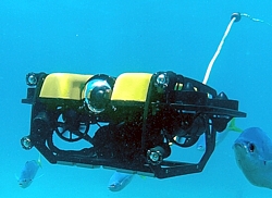ROV von Teleportal.Fish