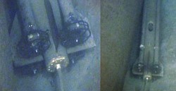 Entdeckte Sea Fox 2015