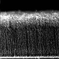 Schindall-Nanoröhrchen