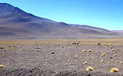 Projektstandort Cerro Pabellón