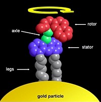 Molekularmotor Grafik
