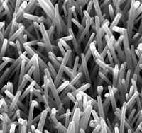 Zinkoxid-Nanostäbchen