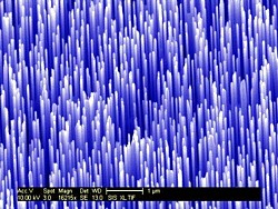 Vertikale ZnO-Nanodrähte