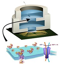 Doppelschicht-Chip Grafik