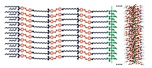 Struktur der Polymerbürste Grafik