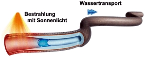 Mikroschlauchpumpe Grafik