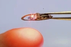 Optogenetischs Instrument