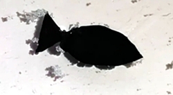 Fisch-Roboter