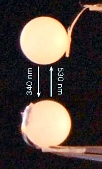 Photomechanisches Material