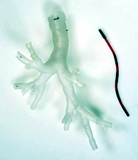 Magnetic Tentacle Robot