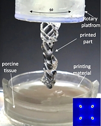 3D-gedruckte Helix