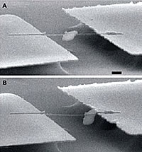 Nanorotor