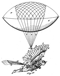 Spalding-Flugapparat Grafik