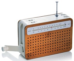 LA 81 Safe Bambus Radio