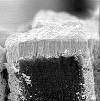 Bewachsene Nanoröhren des GTRI