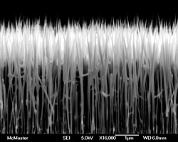 Nanodrähte an der McMaster University