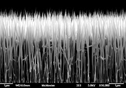 Nanodrähte der McMasters University