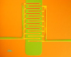 Princeton-Polymertransistor