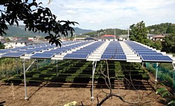 Solar Sharing in Japan