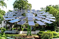 APV-Solarbaum des CSIR