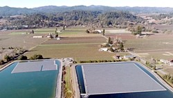 FPV-Anlage in Healdsburg